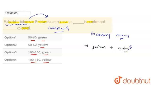 Malpighian tubules in Periplaneta americana are ________in number and __________coloured. | CLA... смотреть онлайн