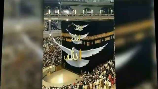 rohingya tarana смотреть онлайн