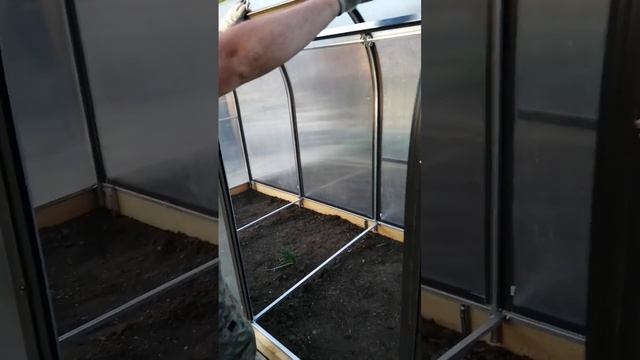 Огуречник сдвижной, с перегородкой. Длина 5 метров. смотреть онлайн