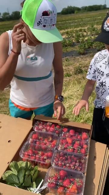 7 сортов клубники для замеров! смотреть онлайн