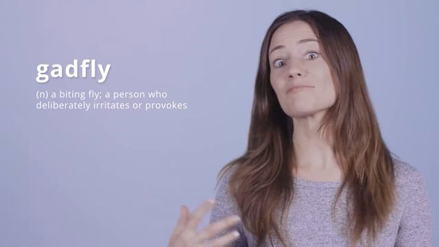 GRE Vocab Word Of The Day: Gadfly | GRE Vocabulary