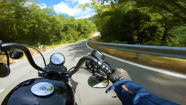 Harley Davidson Iron | POV Ride