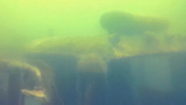 SCUBA Diving at Haigh Quarry, 6/2/2018, #2 смотреть онлайн