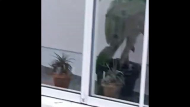 Еще краше!!! Красота!!! смотреть онлайн