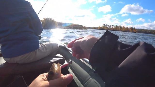 ПОПАЛИ НА ОСЕННИЙ ЖОР ЩУКИ, И РЕКОРД ПОЩУКЕ ВЗЯТ!!! смотреть онлайн