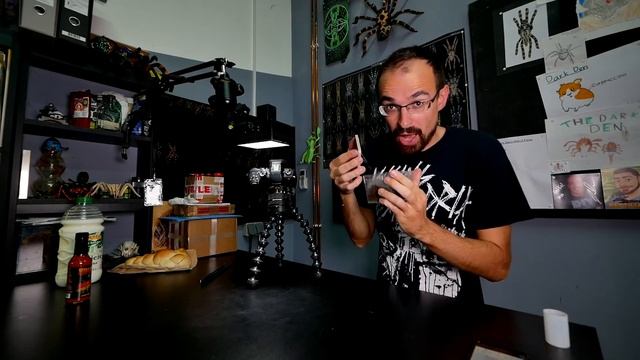 TARANTULA HOT SAUCE FEEDING CHALLENGE #2 смотреть онлайн
