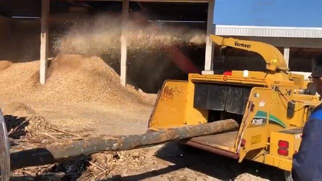 Vermeer BC2000 XL For Sale In Serbia, 36310 Sjenica.