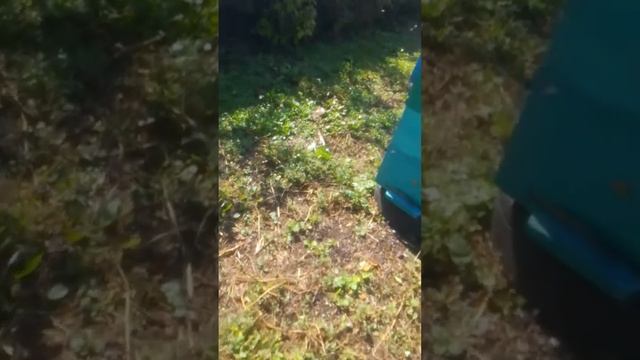 осенний напад пчёл воровок смотреть онлайн
