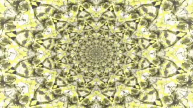 Jessamine Schisandra.avi смотреть онлайн