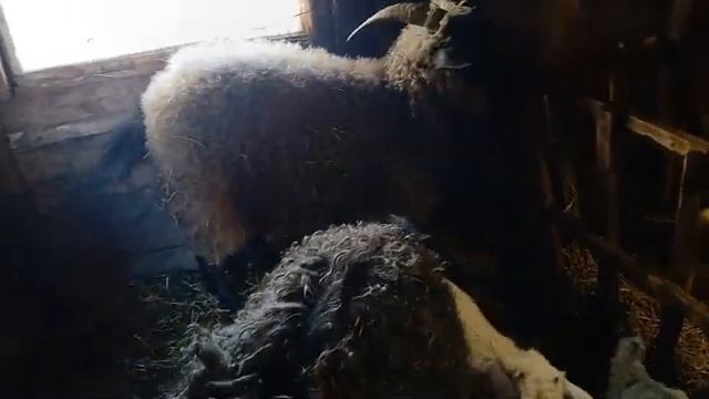 22 февраля 2025 г.Зарисовочка наших будней смотреть онлайн