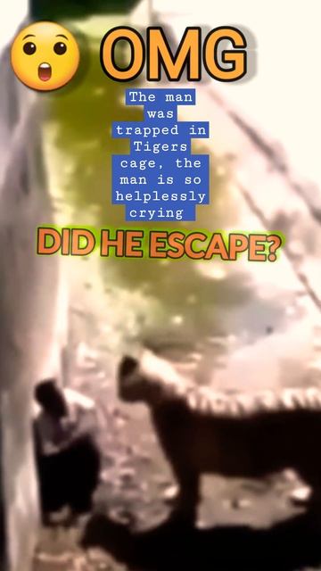 Man was trapped in the tigers cage, and he is so hopeless #shorts #viral #trending #truestory смотреть онлайн