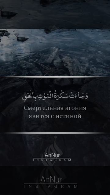 Omar Hisham | Surah Qaf[Verse 16-21] смотреть онлайн