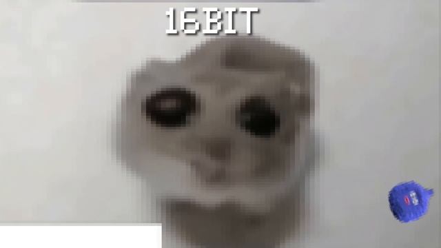 Sad Hamster everytime more bits смотреть онлайн