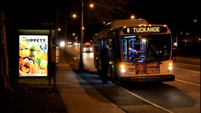 Bee-Line Bus: 40LFW Route 8 , AN460 Route 20 / 21, Orion 5 BxM4C at NYS 100 / Tuckahoe Road смотреть онлайн