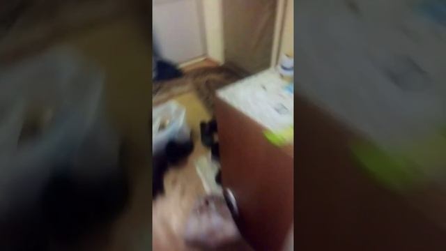 покупки смотреть онлайн