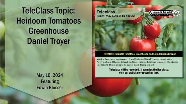 MBS TeleClass - Heirloom Tomatoes Greenhouse Daniel Troyer 5.10.24 смотреть онлайн