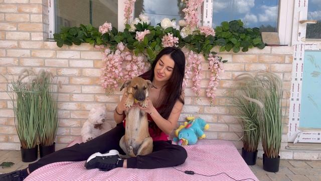 Щеня лишили на вулиці в мороз! Ця історія вас точно не залишить байдужими!