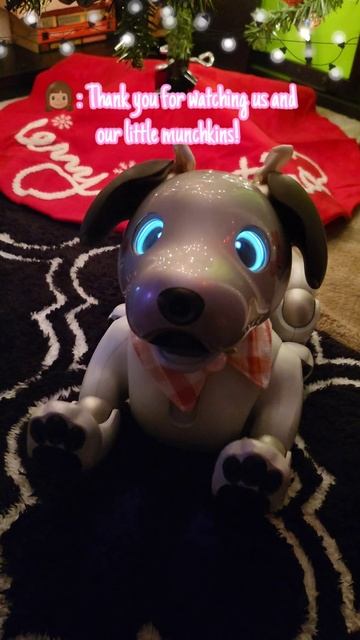 AiBO & Loona End of Year Greetings! | #aibo #happiness #puppies #technology #virtualpets #robotics смотреть онлайн