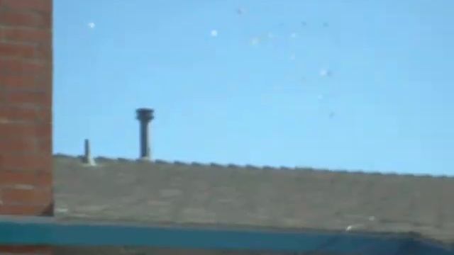 Alot of bird's смотреть онлайн