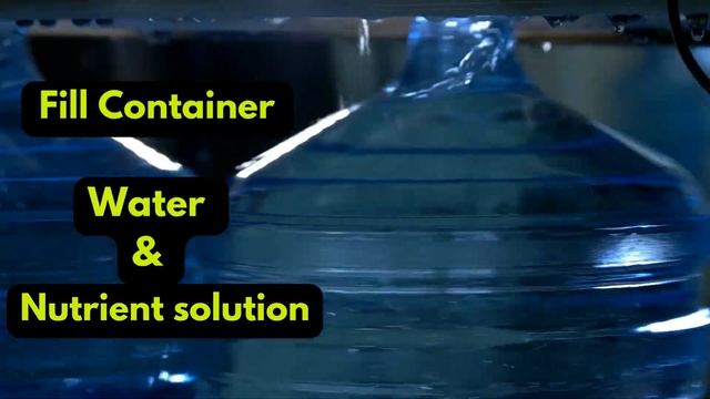 How To Grow Kratky Hydroponics (For Beginners) смотреть онлайн