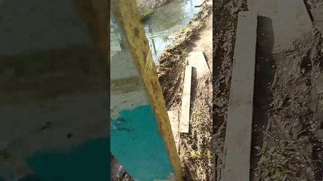 бобры смотреть онлайн