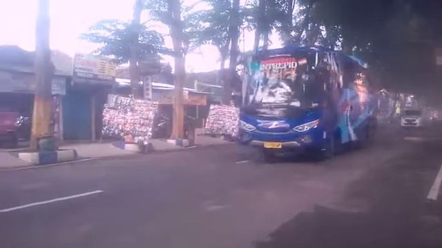 telolet bus tran talia mini смотреть онлайн