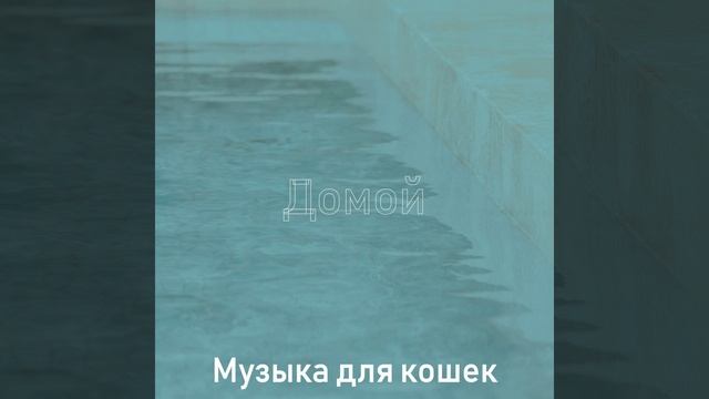 Повседневная (Фоновая музыка) смотреть онлайн