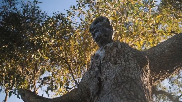 Satterley - The Clementine Story (Full) смотреть онлайн