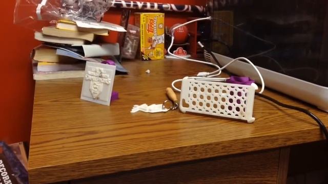 Dalton Lung's 3d Printer