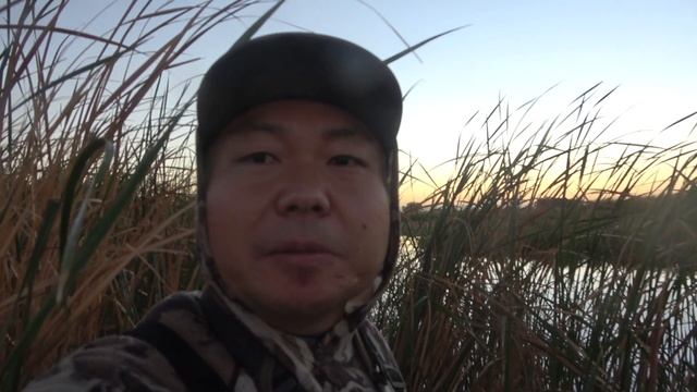 Here's WHY experts dont hunt blinds | California duck hunting for beginners смотреть онлайн