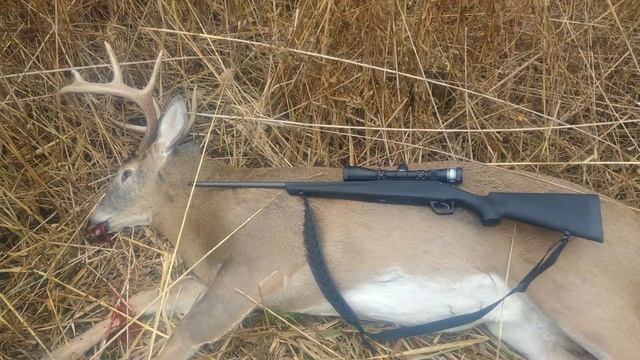 Иду по следу крови ищу моего оленя смотреть онлайн