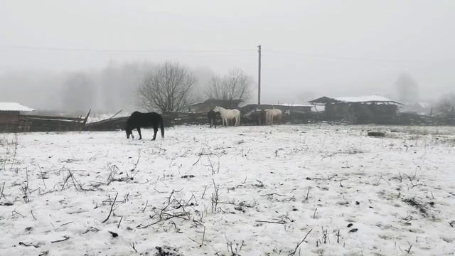 Утро релакс 10 декабря 2021год смотреть онлайн