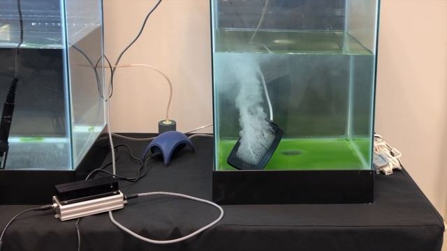 Biofilm reduction with dissolved oxygen смотреть онлайн