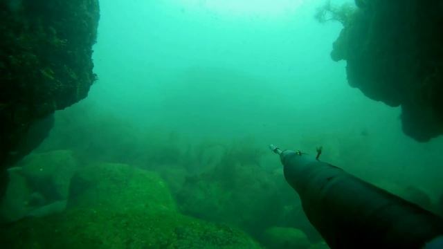 Первый горбыль сезона. Лучше поздно чем никогда! смотреть онлайн