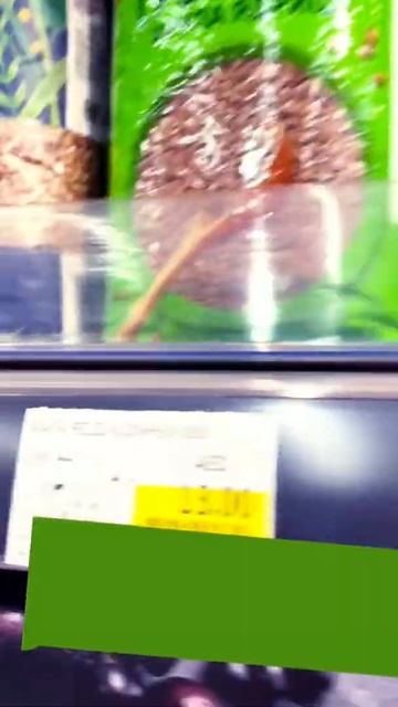 Цена на гречку в Дубае #дубай #цены смотреть онлайн