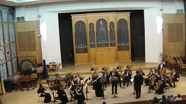 Г.Ф.Телеманн Концерт для флейты и фагота