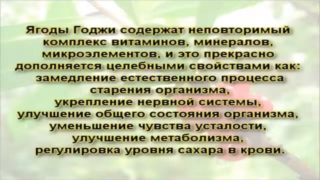 худеем с ягодами годжи смотреть онлайн