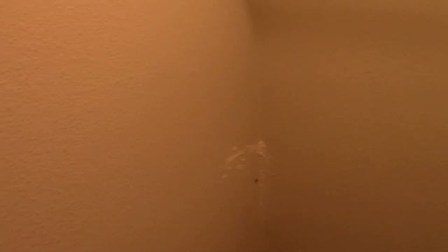 Black Guy Freaks Out Over Giant Black Widow