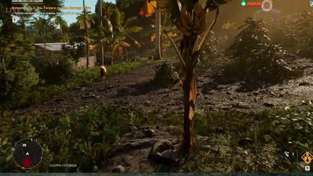 FAR CRY 6 Знакомство с Легендой Эль Тигре Прохождени смотреть онлайн