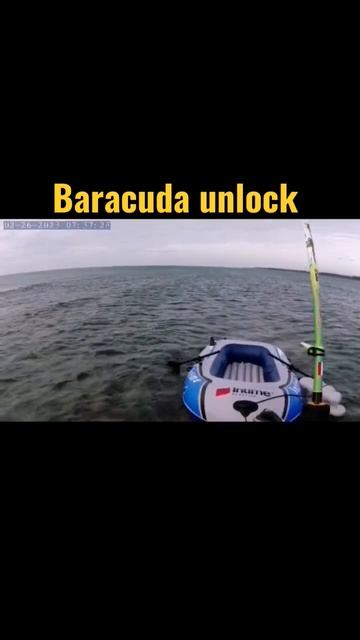 Baracuda Unlock 🎣#anglerphilippines #angler  #ultralightfishing #brookespointangler