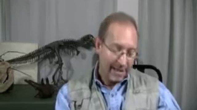 Ask Dinosaur George #29 смотреть онлайн