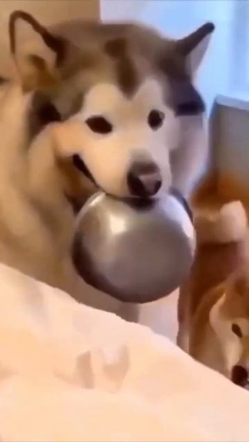 Завтрак в постель