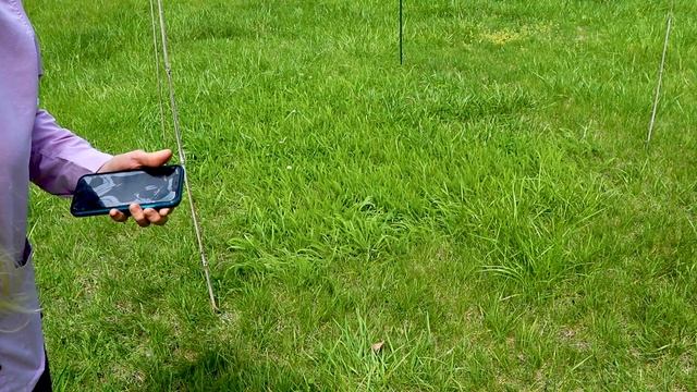 Cutting the Cover Crop + more medicinal plants! смотреть онлайн