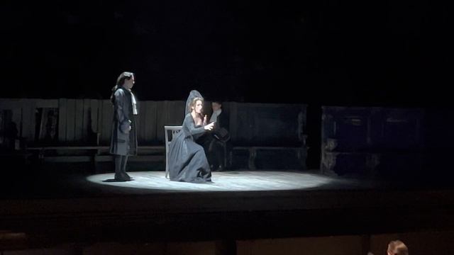 “Don Ottavio son morta!…Or sai chi l’onore” , Elisa Verzier (Donna Anna) смотреть онлайн