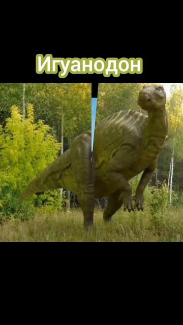 Каких динозавров я хотела видеть в игре. Часть 1. #dinosaur #thecursedisle #ytka смотреть онлайн