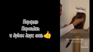 Реакция на Руню 8/?