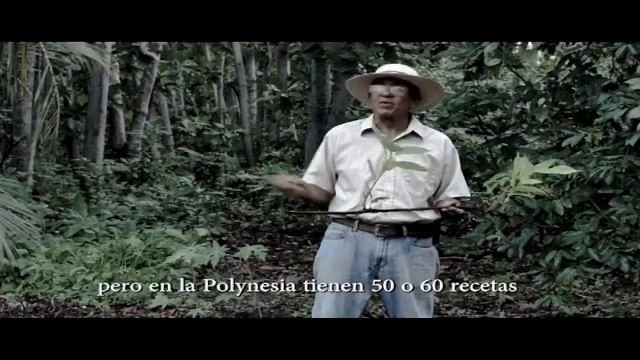 BREADFRUIT DOCUMENTARY BY TELEISLAS TV смотреть онлайн