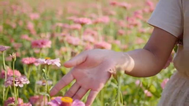 Ð ÐµÐ½Ñ Ð¸Ð½Ð° 58142 1 смотреть онлайн