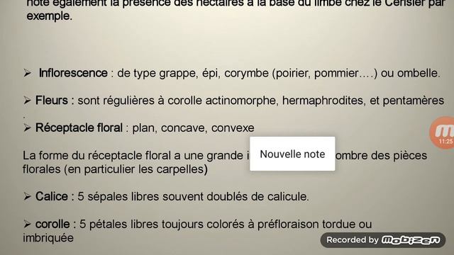 F/ Rosacées. Or/Rosales . S4 . séance 2 смотреть онлайн