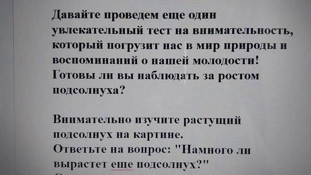 Тест на внимательность 4: Намного ли вырастет еще подсолнух? Вспомните молодость! 🔍🌻 смотреть онлайн